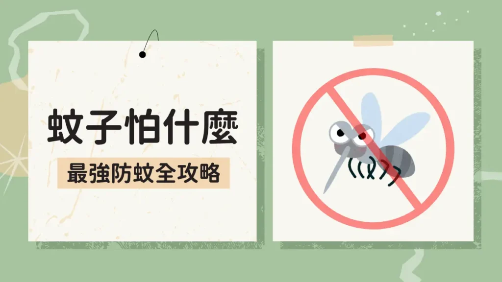 蚊子怕什麼？驅蚊最有效的方法：蚊子大軍來襲！防蚊驅蚊要做好
